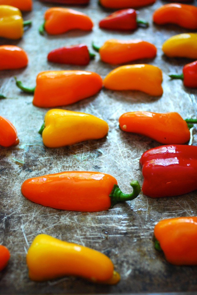 Roasted Mini Peppers Primal Palate Paleo Recipes