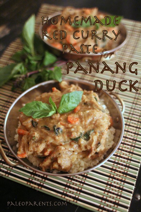 Panang-Duck-by-PaleoParents