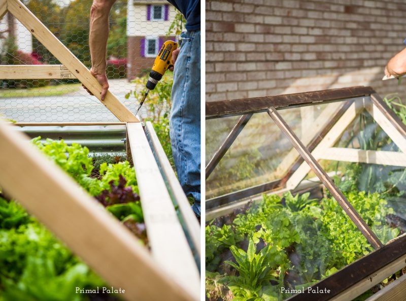 How to build a cold frame garden