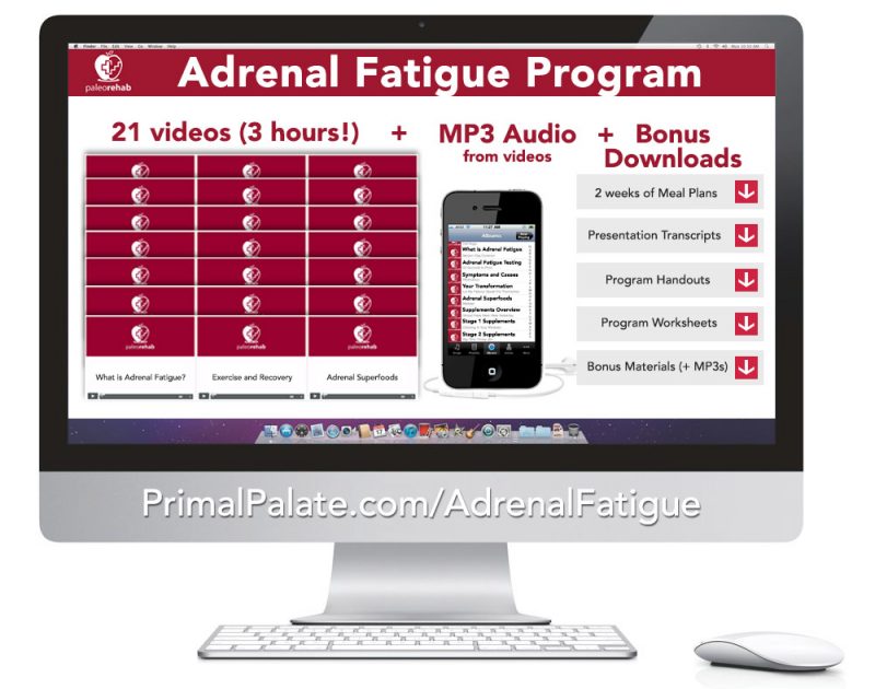 Adrenal Fatigue Program 1