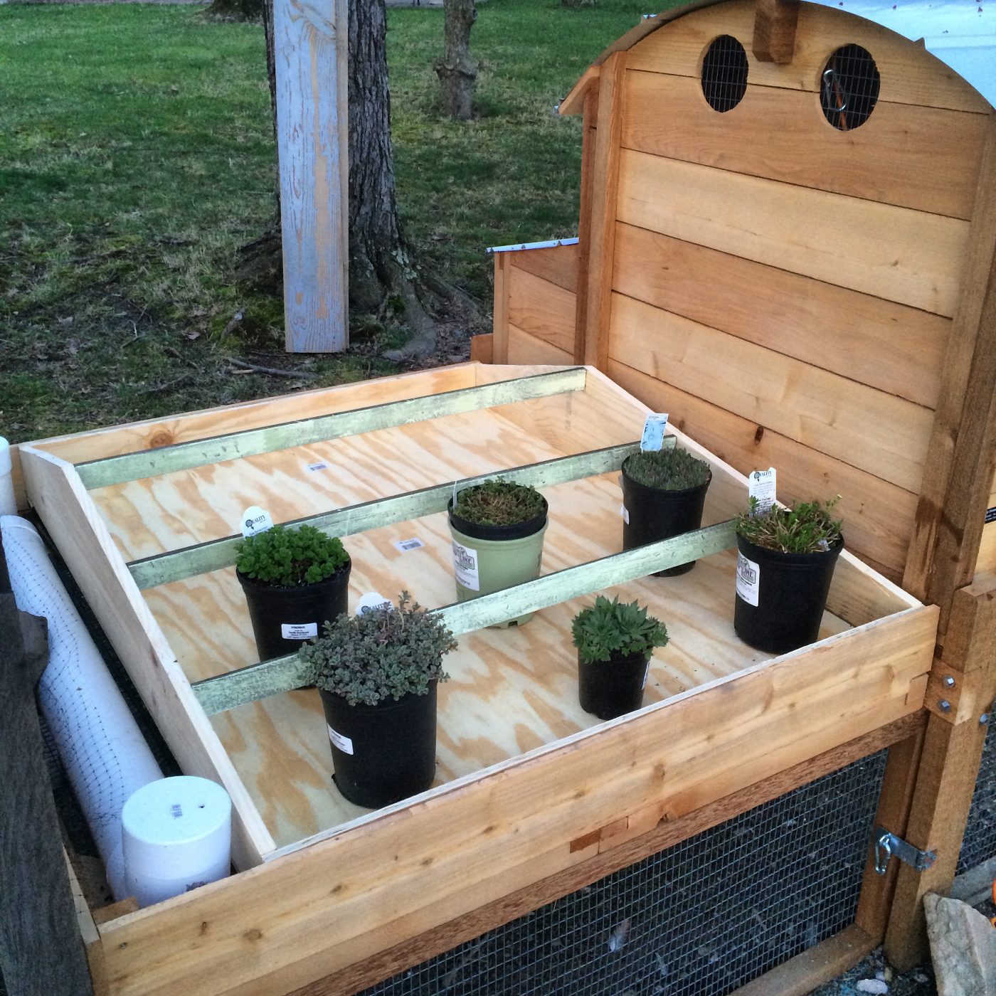 DIY Chicken Coop Green Roof | Primal Palate | Paleo Recipes