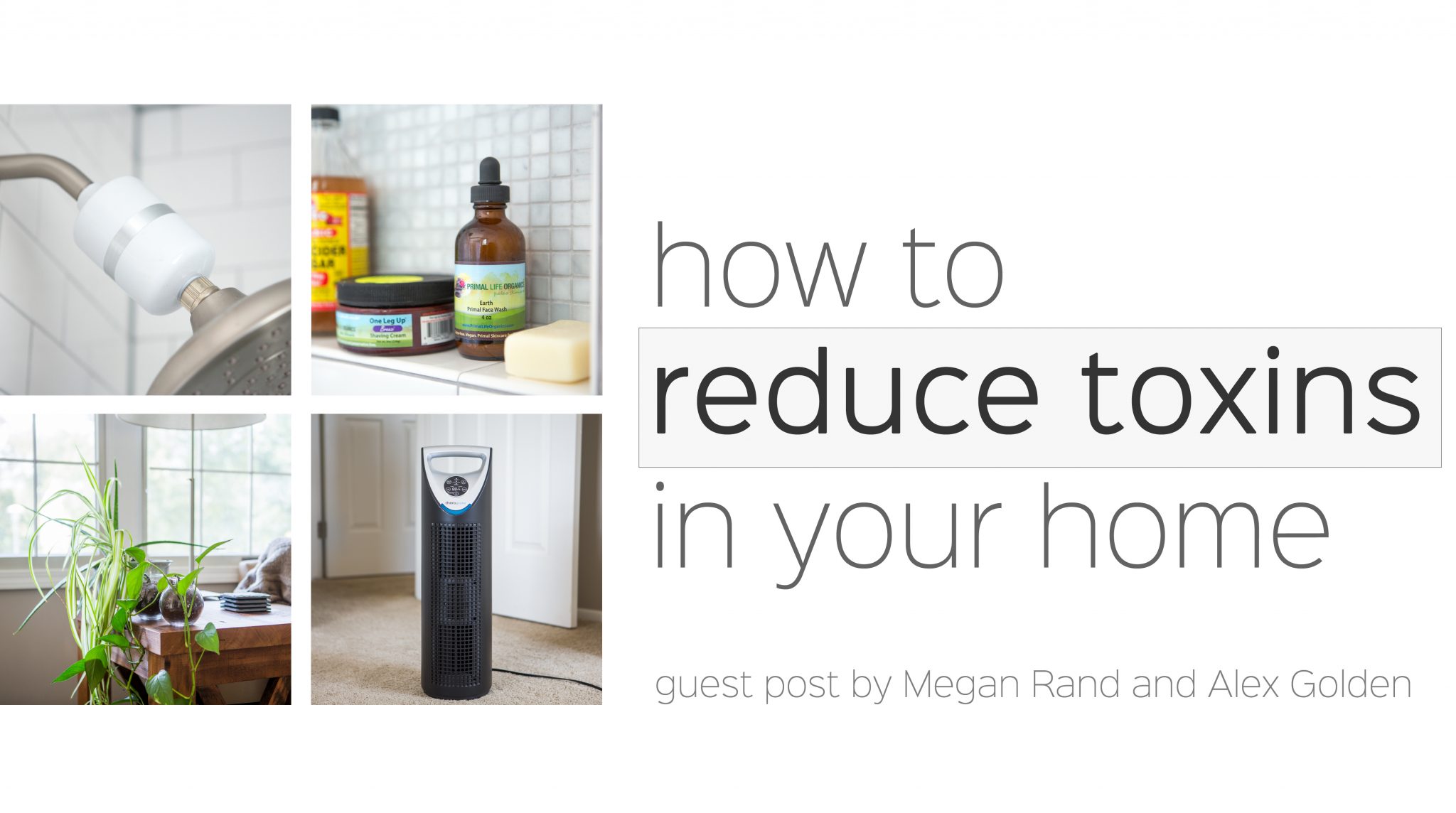 How To Reduce Toxins In Your Home | Primal Palate | Paleo Recipes