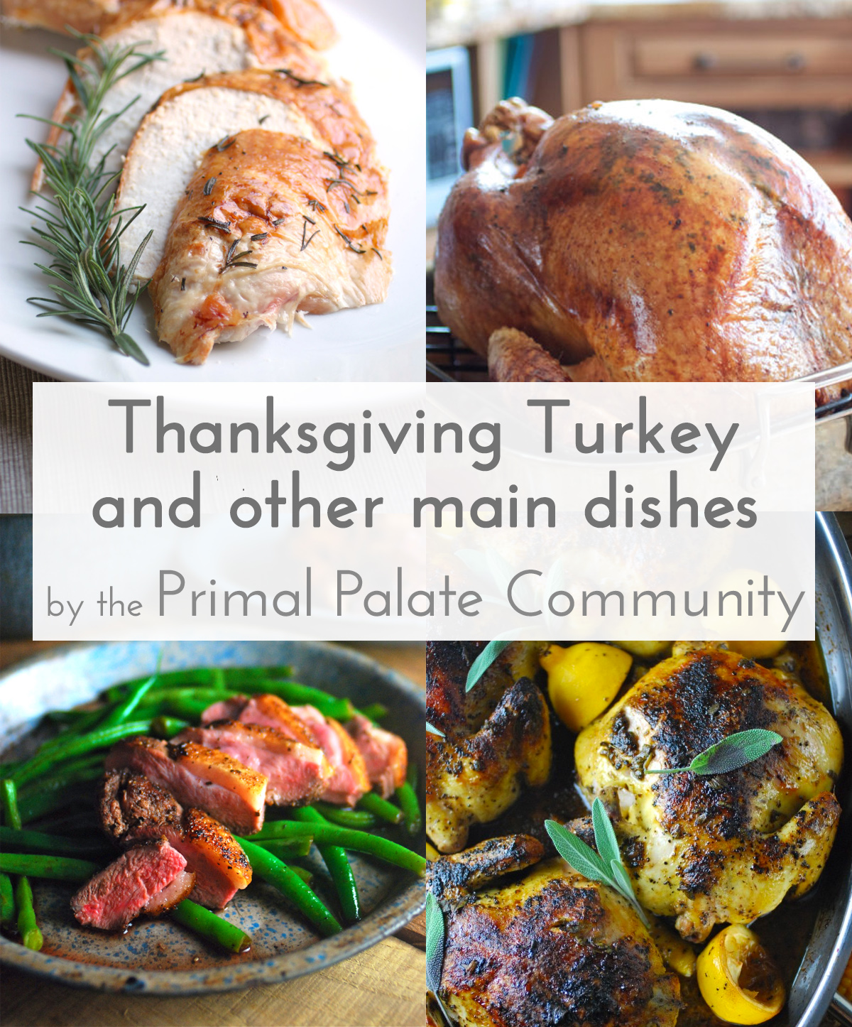 Thanksgiving Turkey Recipes (and other main dishes) | Primal Palate ...