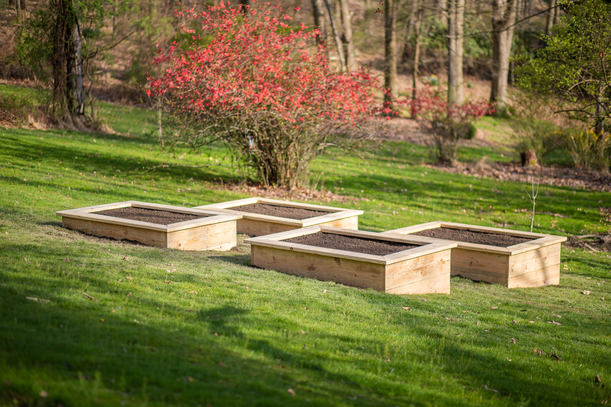 How to Build Raised Garden Beds (on a slope!)